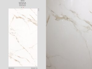 塞納金 亮光岩版